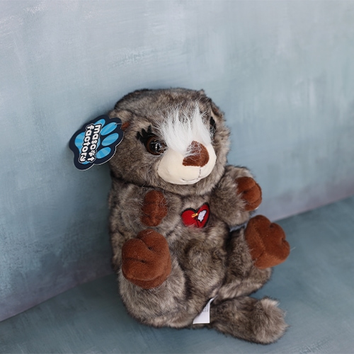 Josh the Otter Plush