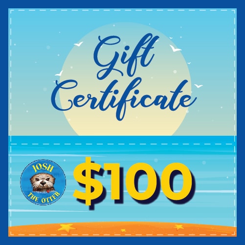 Gift Certificate $100