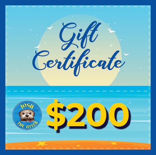 Gift Certificate $200
